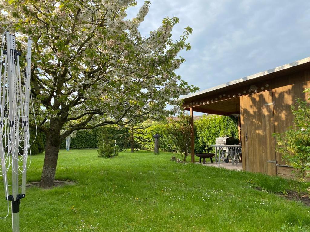 Schoene Maisonettewohnung In Der Barlachstadt * Güstrow